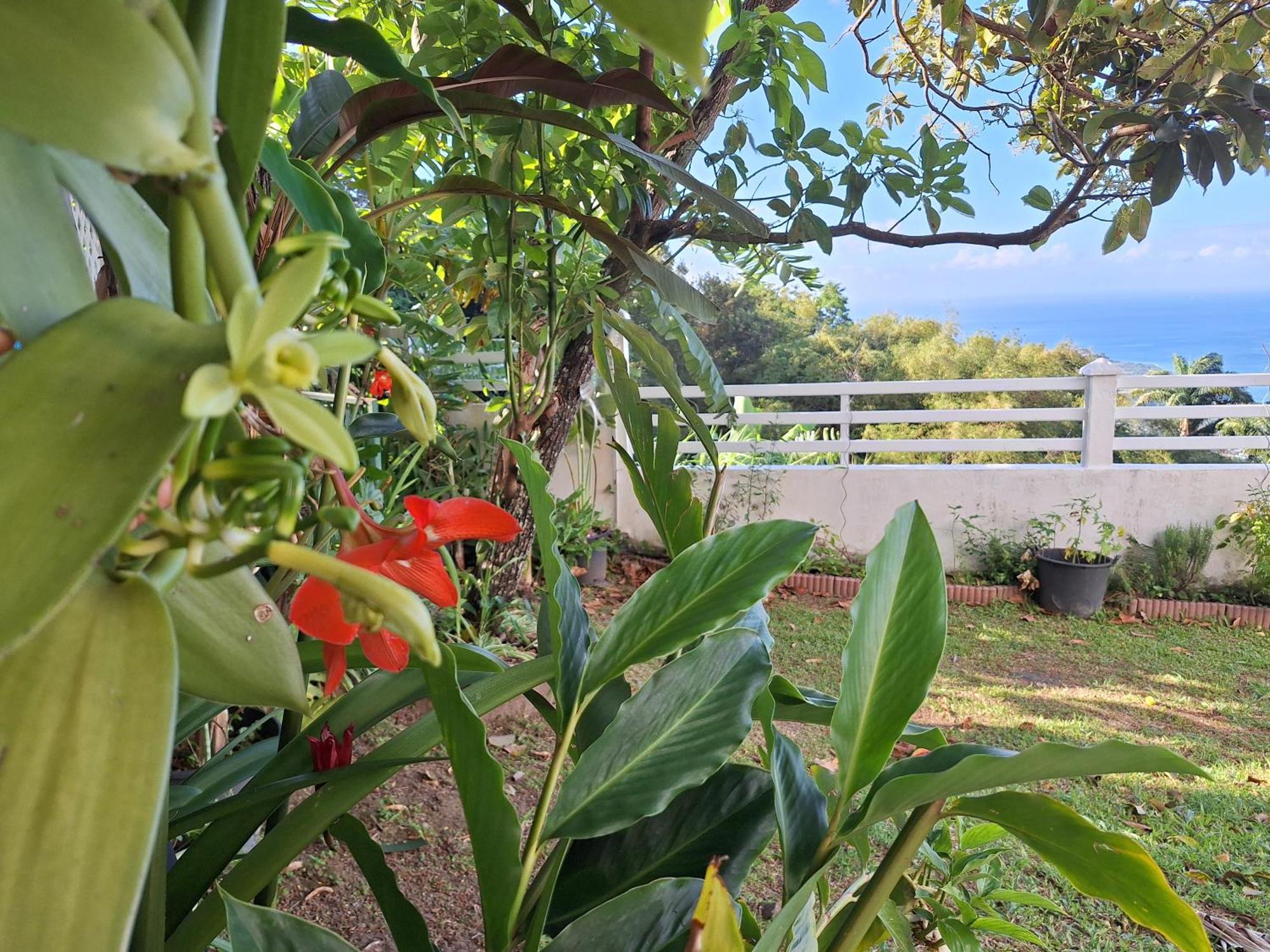 Belavue & Spa Prive, Avec Vue Panoramique Sur Mer, Jardin Creole Paysager, Jacuzzi Prive Bouillante Pokoj fotografie